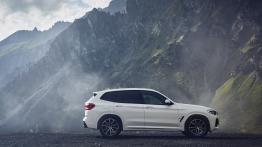 BMW X3 G01 SUV 3.0 35i 306KM 225kW 2017-2020