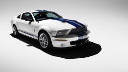 Ford Shelby GT500 2007 - widok z przodu