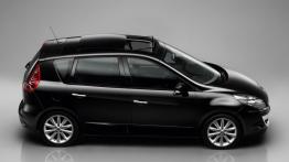 Renault Scenic 2009 - prawy bok
