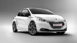 Peugeot 208 Hybrid FE Concept (2013) - widok z przodu