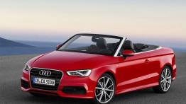 Audi A3 III Cabriolet 2.0 TDI (2014) - widok z przodu