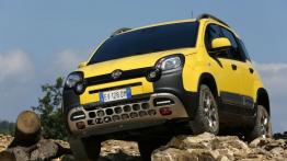 Fiat Panda III Cross (2014) - widok z przodu