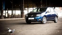 Dacia Sandero Anniversary Limited Edition (2015) - widok z przodu
