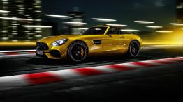 Mercedes-AMG GT S Roadster (2018)