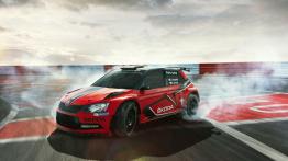 Skoda Fabia R5 (2018) - inne zdj?cie