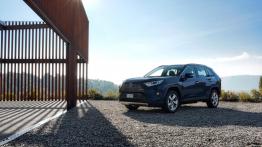 Toyota RAV4 (2019)