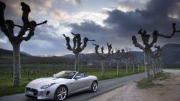 Jaguar F-Type V6S Rhodium Silver - lewy bok