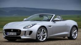 Jaguar F-Type V6S Rhodium Silver - lewy bok