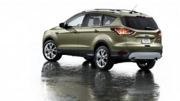 Ford Escape 2013 - widok z tyłu