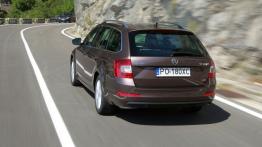 Skoda Octavia III Kombi 4x4 1.8 TSI (2013) - widok z tyłu