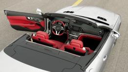 Mercedes SL 2013 - widok ogólny wnętrza z przodu