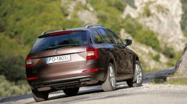 Skoda Octavia III Kombi 4x4 1.8 TSI (2013) - widok z tyłu