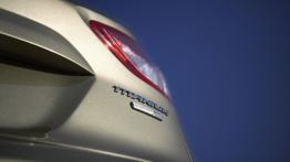 Ford Escape 2013 - emblemat