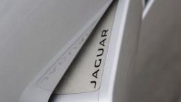Jaguar F-Type V6S Rhodium Silver - klamka przód