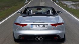 Jaguar F-Type V6S Rhodium Silver - widok z tyłu