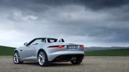Jaguar F-Type V6S Rhodium Silver - widok z tyłu