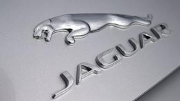 Jaguar F-Type V6S Rhodium Silver - emblemat
