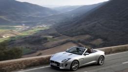 Jaguar F-Type V6S Rhodium Silver - widok z góry