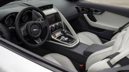 Jaguar F-Type V6S Rhodium Silver - pełny panel przedni