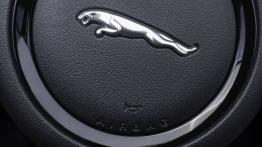 Jaguar F-Type V6S Rhodium Silver - kierownica