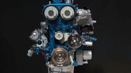 Ford Escape 2013 - silnik solo