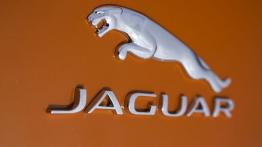 Jaguar F-Type V8S Firesand - emblemat