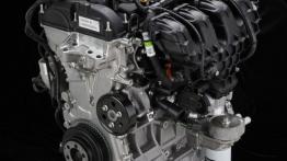 Ford Escape 2013 - silnik solo