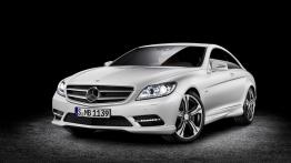 Mercedes CL W216 Coupe 500 4MATIC BlueEFFICIENCY 435KM 320kW 2010-2013