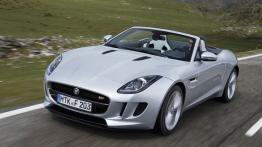 Jaguar F-Type V6S Rhodium Silver - widok z przodu