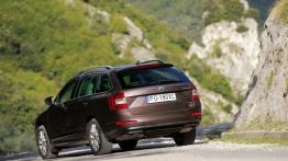 Skoda Octavia III Kombi 4x4 1.8 TSI (2013) - widok z tyłu