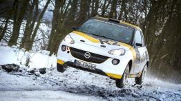 Opel Adam R2 Concept (2013) - widok z przodu