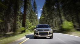 Ford Escape 2013 - widok z przodu