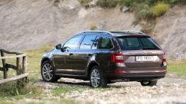 Skoda Octavia III Kombi 4x4 1.8 TSI (2013) - widok z tyłu