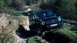 Mercedes Klasa G W464 Terenowy 2.9 350d 286KM 210kW 2018-2023