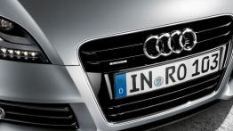 Audi TT 8J Roadster Facelifting 2.0 TDI 170KM 125kW 2010-2013
