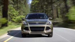Ford Escape 2013 - widok z przodu