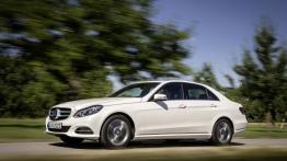 Mercedes E 200 Natural Gas Drive (2013) - lewy bok