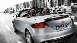 Audi TT 8J Roadster Facelifting 2.0 TDI 170KM 125kW 2010-2013