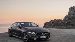 Hybrydowe Mercedesy-AMG z nowej serii 53