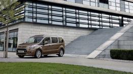 Ford Grand Tourneo Connect (2013) - lewy bok