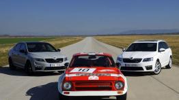 Skoda Octavia III RS Liftback (2013) - widok z przodu