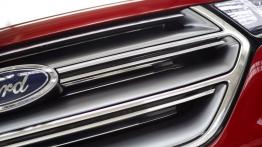 Ford Edge Concept (2013) - grill