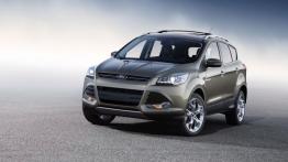 Ford Escape 2013 - widok z przodu