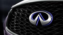 Infiniti Q30 Concept (2013) - logo
