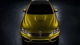 BMW Concept M4 Coupe (2013) - widok z góry