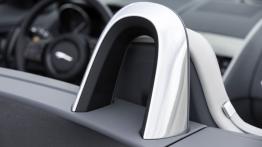 Jaguar F-Type V6S Rhodium Silver - inny element wnętrza z przodu