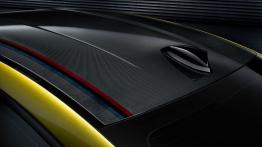 BMW Concept M4 Coupe (2013) - dach