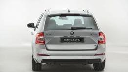 Skoda Octavia III kombi (2013) - widok z tyłu