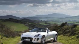 Jaguar F-Type V6S Rhodium Silver - widok z przodu