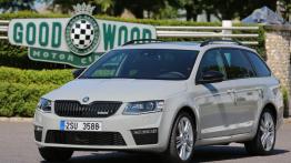 Skoda Octavia III RS Kombi (2013) - widok z przodu
